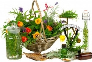 medicinal herbs