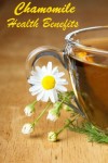 chamomile health benefits