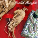 panax ginseng