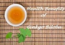 ginkgo biloba benefits