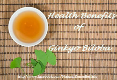 Ginkgo Biloba Benefits and Cautions