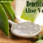 Health Benefits of Aloe Vera